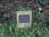 image of grave number 922799